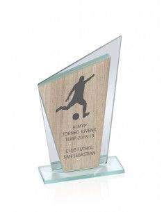 Placa de cristal y madera 2