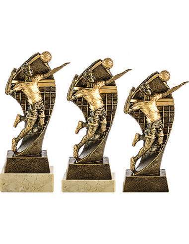 Trofeo para voleibol